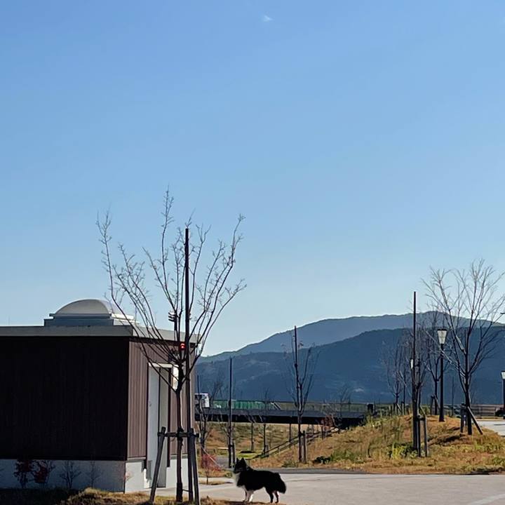 28b6a213 1453 41f2 a602 8b40d052fec0 1636545871984