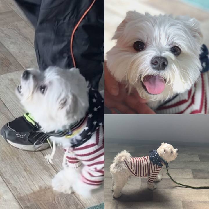 28b7177b c971 4a82 b111 a3b91af2b31b 1610838891511