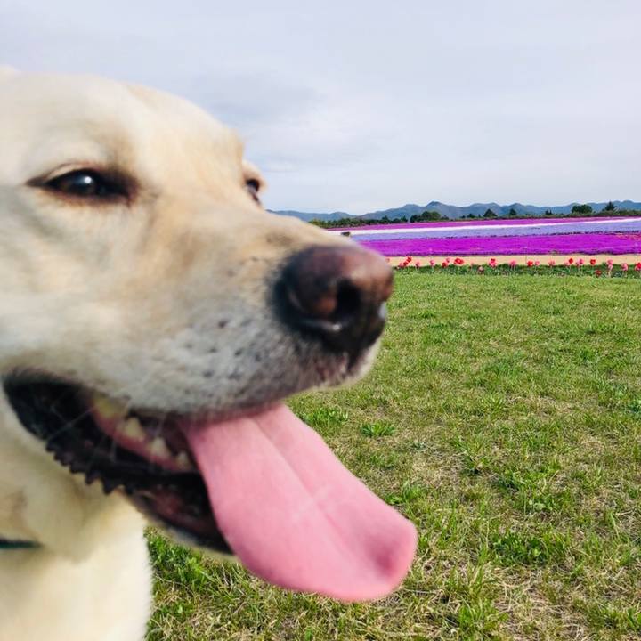 28b75f28 ff3f 4f13 a32d 5b908351717f 1560085315384