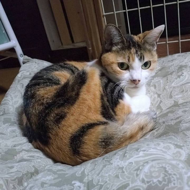 28b764c8 e1fb 4d8a bc15 d1411cbb3f7e 1728479151861