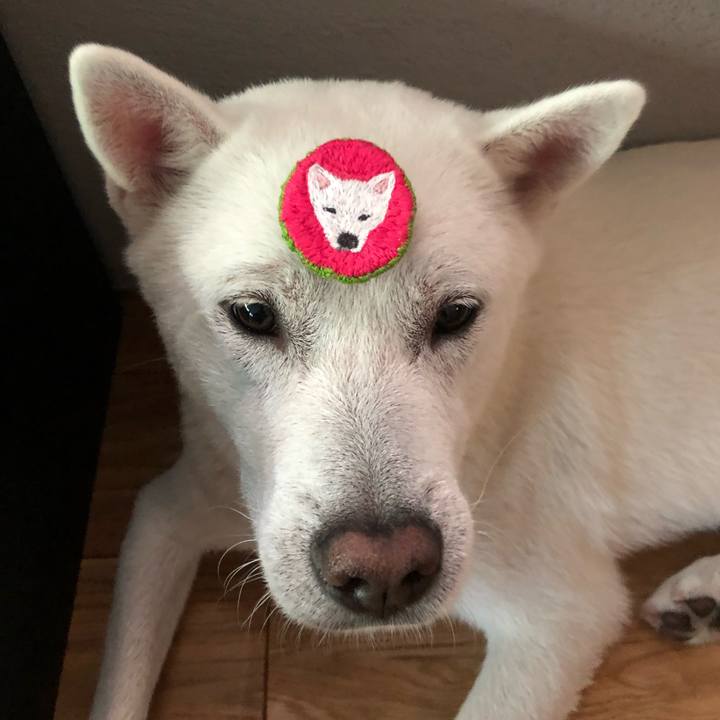 28b79525 ede6 41b2 858e 64cd00a547bb 1593130873339