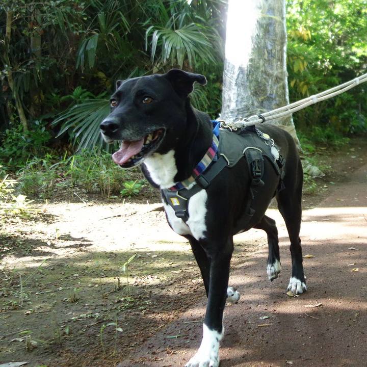 28b7a04f 05b3 4033 99ce 04ae3dacfdc9 1651280709857