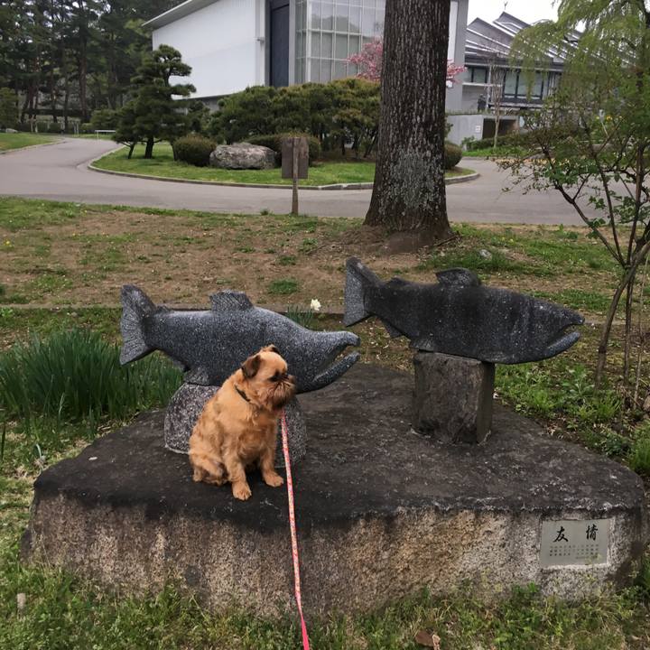 28b7ac1f c13a 49f2 8b5a f62d6d46b39e 1525270585412