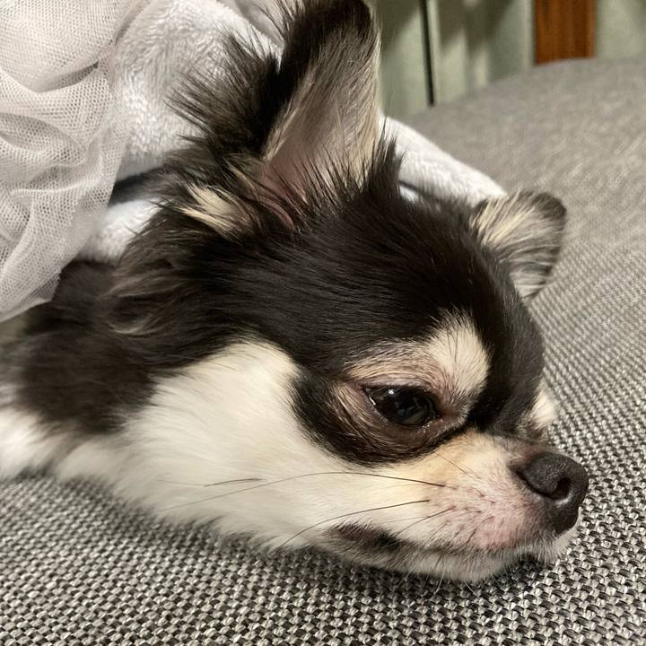 28b7ae86 0b62 4ef4 8b40 627368e8de54 1627033454034