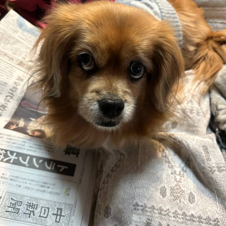 28b7dc2d 407d 4d59 87c5 5229bf85590d 1737496355243