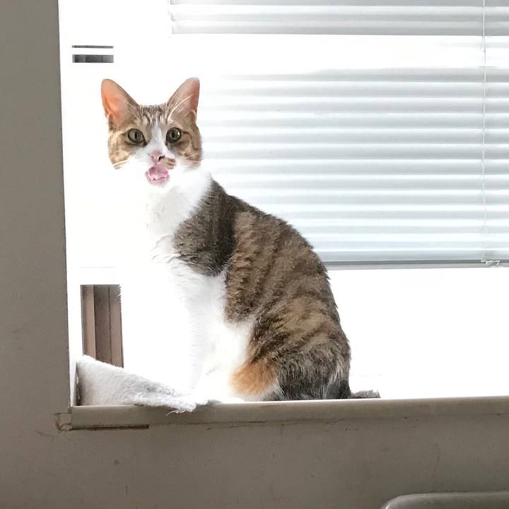 28b7ffb1 9929 4f3e 9600 3a6357fd0b69 1535006015910