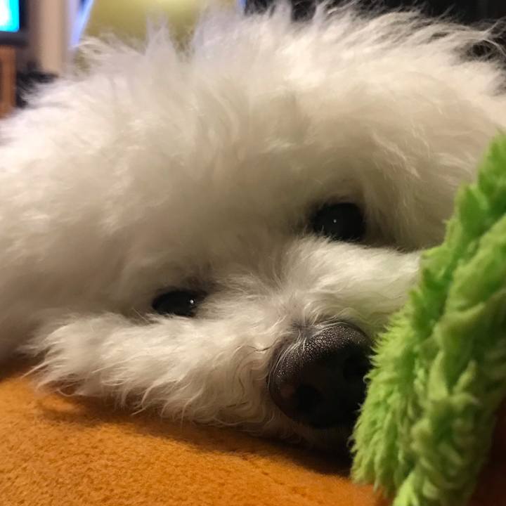 28b839c7 4a4f 4b17 a4a7 3eb32dca5549 1588761293072