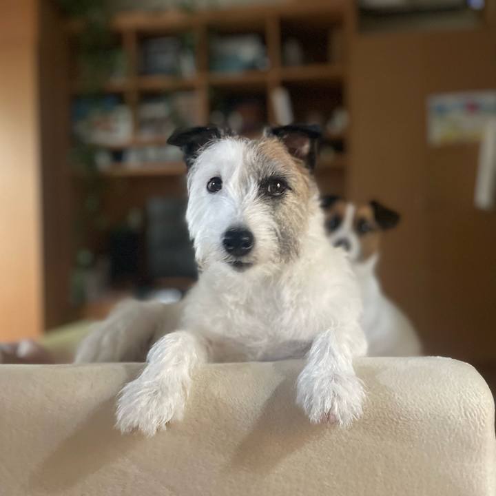 28b83ced 3031 424a 850e 35b61cb94af7 1721433780397