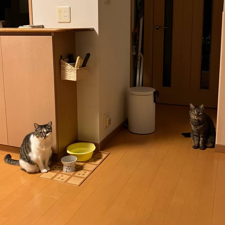 28b851fe 4e75 4b86 bee3 ca9763cf5228 1760793324120