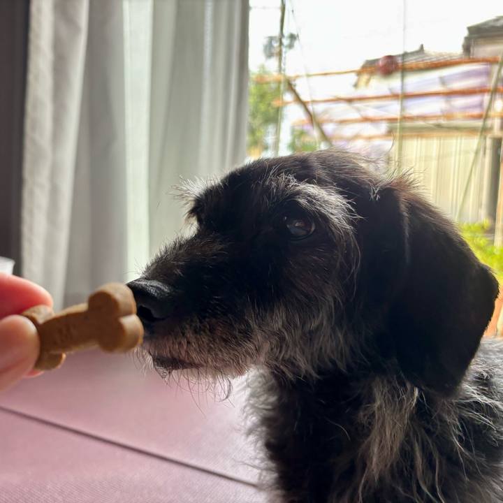 28b86660 d858 4fd6 835a 8436f38f315c 1752621901323