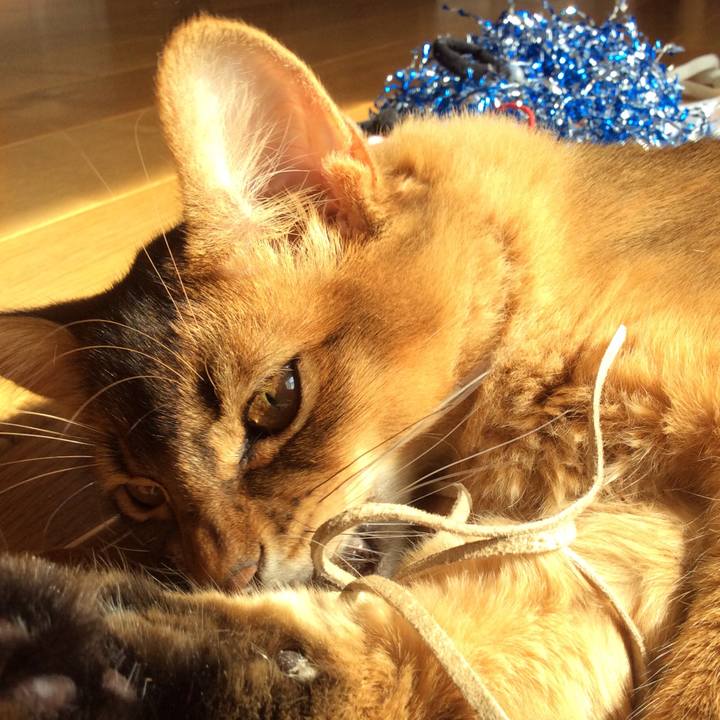 28b87212 3882 481d a367 0bd71d600235 1582079179179