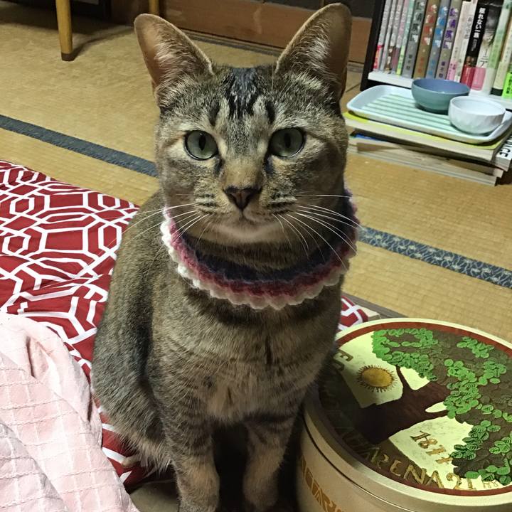 28b87db1 41ac 4996 b6dc cb497f2a4767 1618310735104