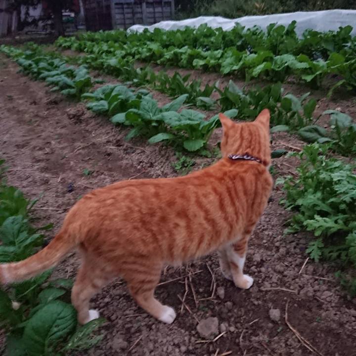 28b8d58f a146 4942 9b85 6d99dc7a413a 1570093336817