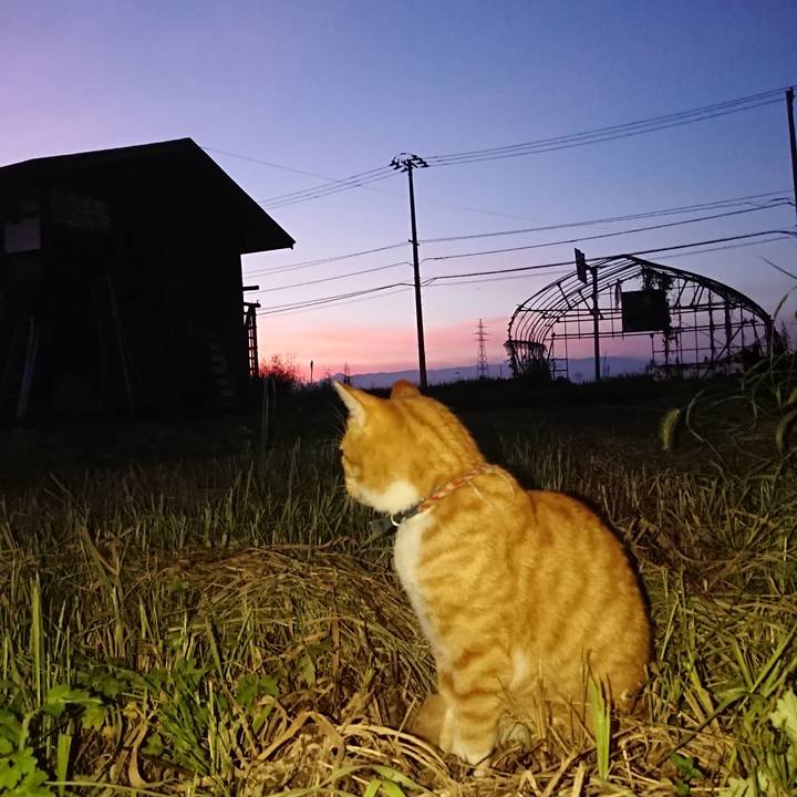 28b92fdc 0af6 4515 a96f 8ae2927b29c8 1567848527854