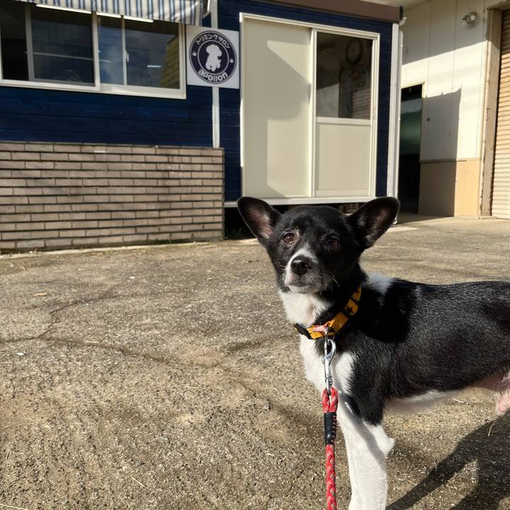 28b95f24 0a4d 4928 84dc f9f4c50009b4 1670842711592