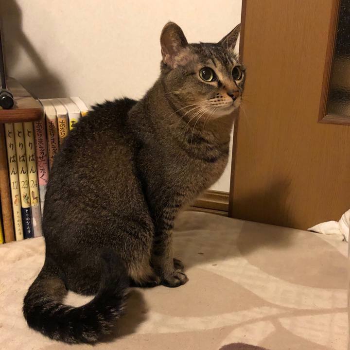 28b9e001 e665 4209 be5a 5c146d0fcd6d 1579655697459