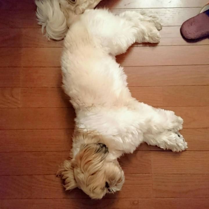 28b9eebf 14a8 492a 88f8 6a1908936efa 1545478972773