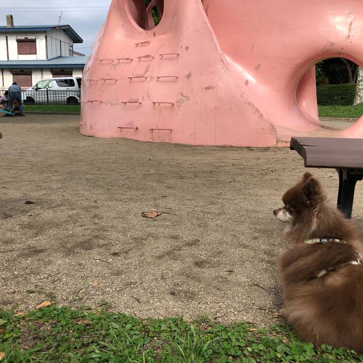 28ba2923 59a7 40b3 b8b2 29fa2416cd0c 1633910729450