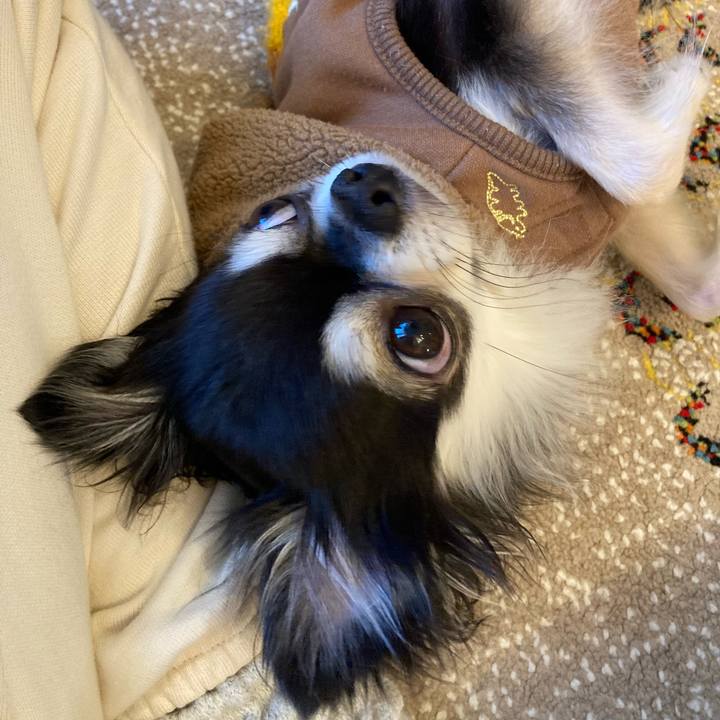 28ba5c48 f883 4c5f 9e1e 85b8e2c7f9e3 1706957254328