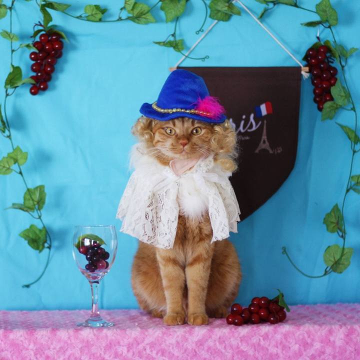 28ba690a 7d0d 4c8b a228 c2d4b072b405 1636165448931