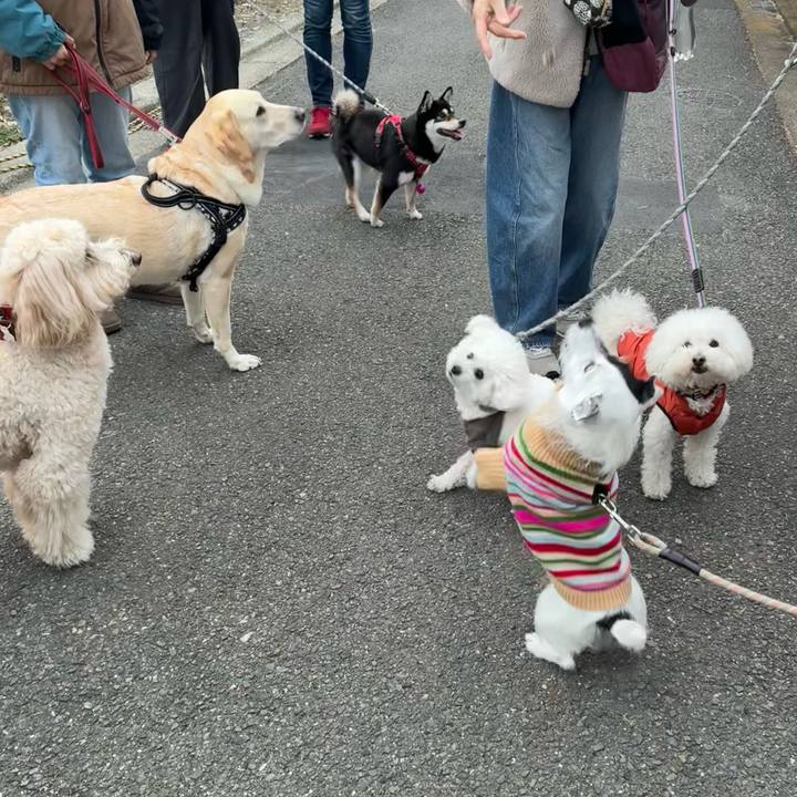 28ba7ced c262 483d 9f3e ea53df423cc9 1771313701405