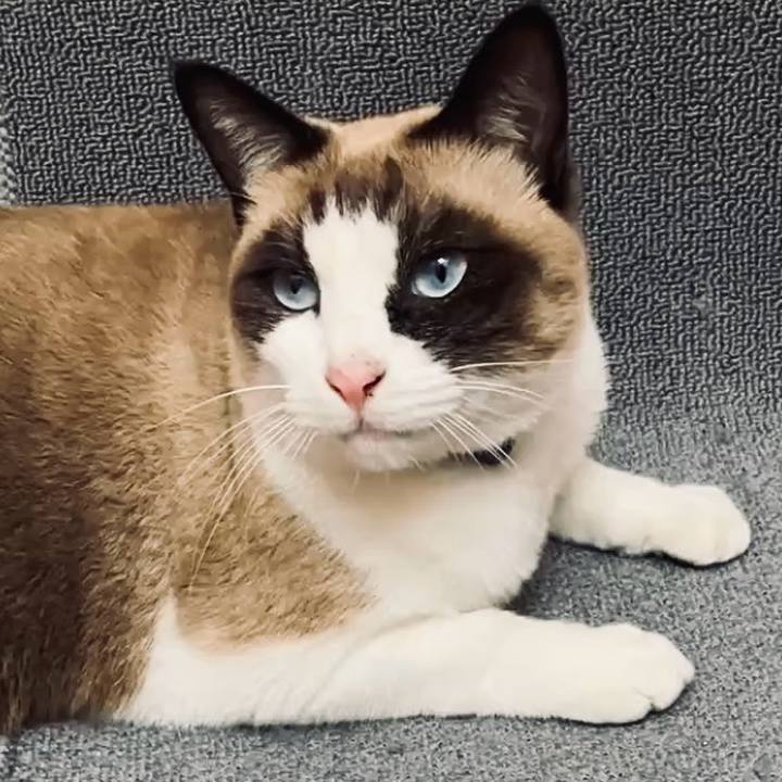 28ba8cf7 6187 45b7 aec5 337e7cd0ee8c 1733108627037