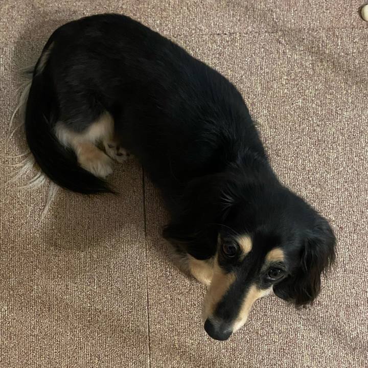 28ba946b 606c 4ef2 b63e 49841d61f20e 1751703462546