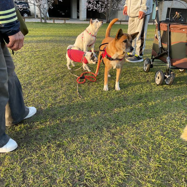 28bab1c6 0fe7 4d6e a4ca da89ac814717 1648567557439