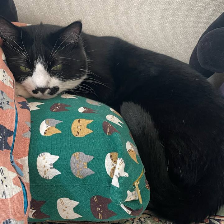 28baea36 e6f8 46fd 9088 bad9a961a43d 1752359988455