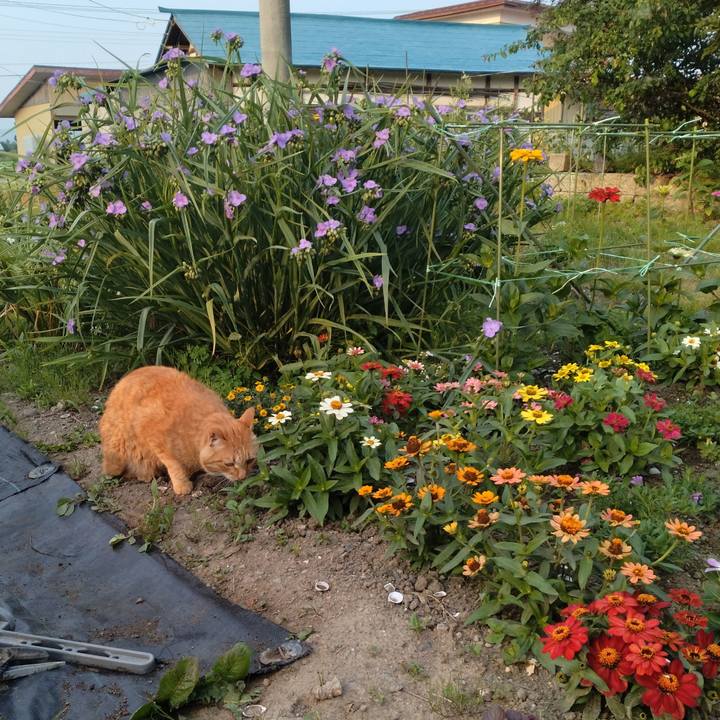 28bb1dc2 7378 452d 91d7 feeed31c77f5 1718413134839