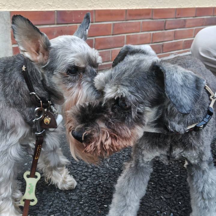 28bb6427 06c9 43f2 9832 42a484817a48 1759241773679