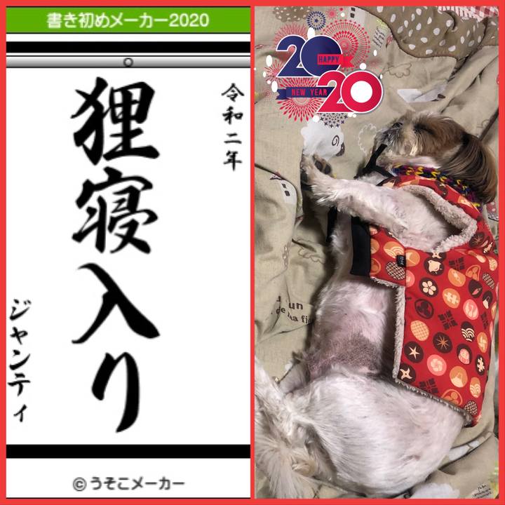 28bb821c 01d1 44ca 9f9d 124b2f5318ff 1577864651777