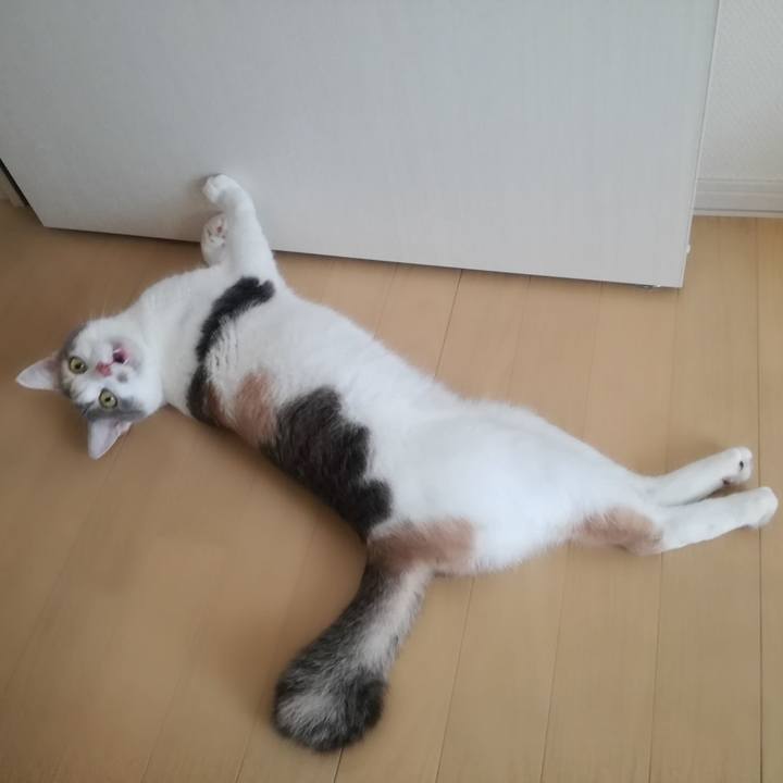 28bb9870 a448 478a a2fc 752e0966b4ec 1537843157407