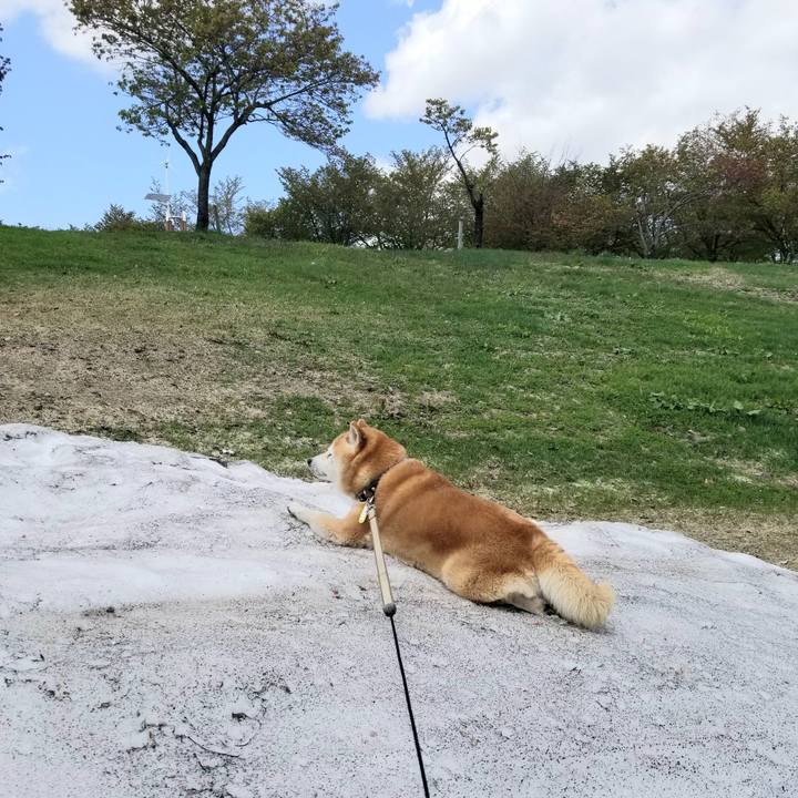 28bbb182 1c2e 4bc7 a0cf 6b925c934662 1651458652523