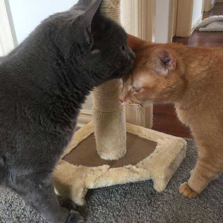 28bbb9c7 bfc0 46b5 9224 7fb736f9fe26 1650593173690