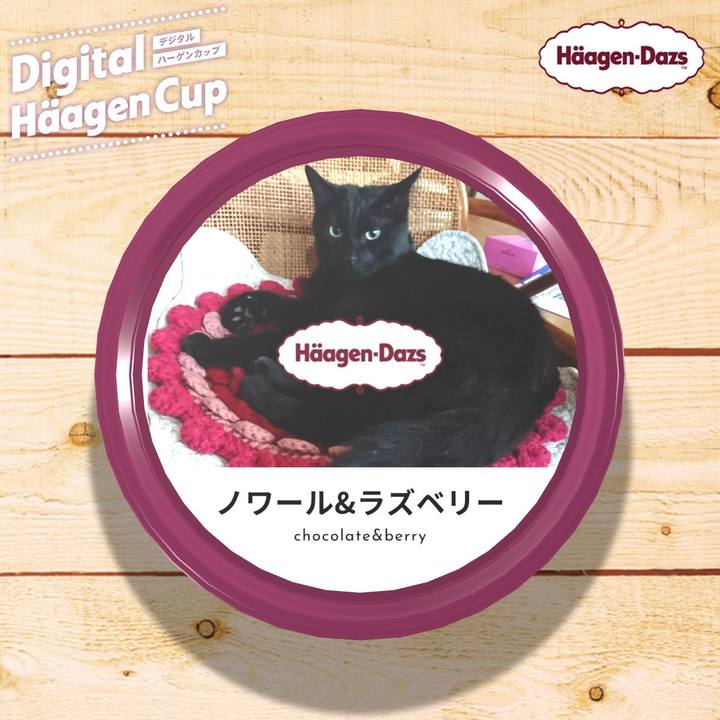 28bbc4de 726c 4bf0 8be8 41ae9ea971b1 1607812069207