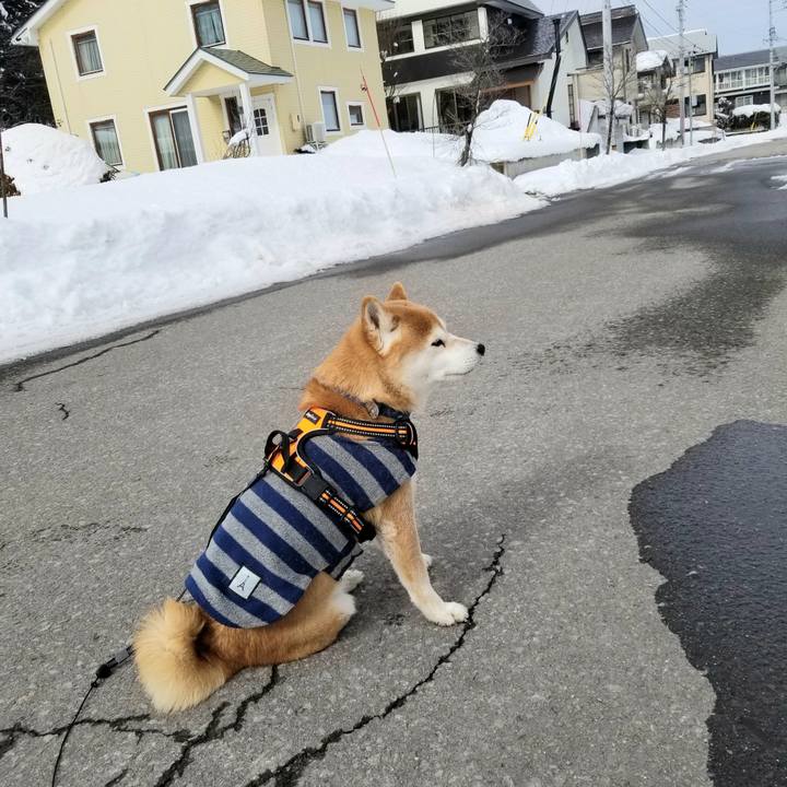 28bbc622 fa77 420b aa13 99c080e7da01 1581481820824