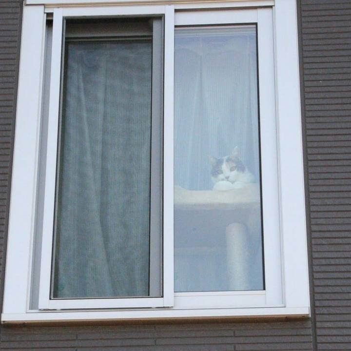 28bbca90 f267 4c05 bd47 0405a486ed84 1521428396177