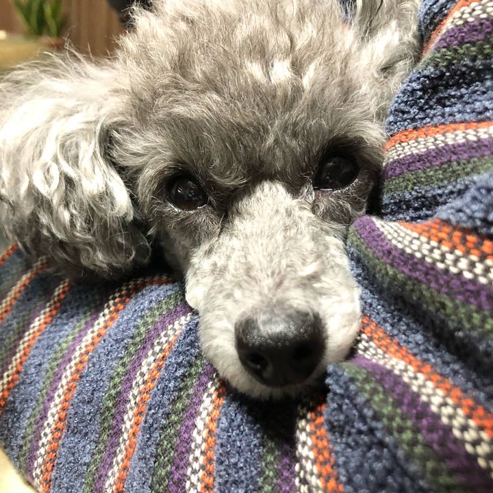 28bbf8d2 d568 49ee 957b ca2cd7b119d5 1573126143886