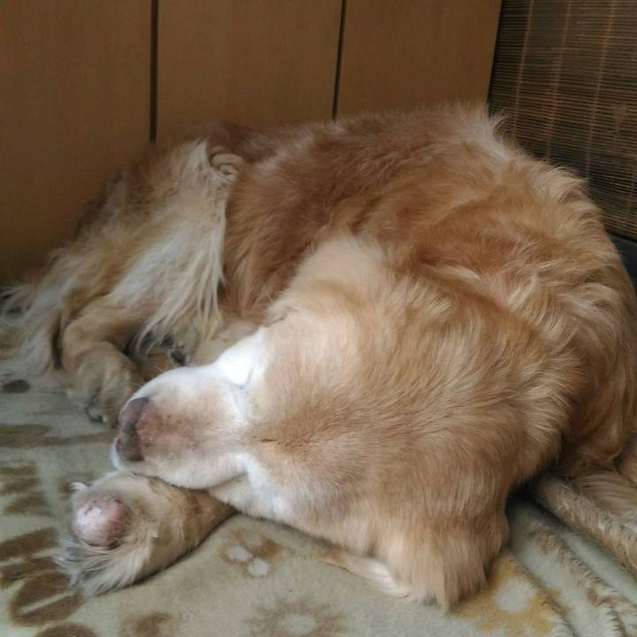 28bc005d 734c 461a a3db 1809ff360699 1554030936029