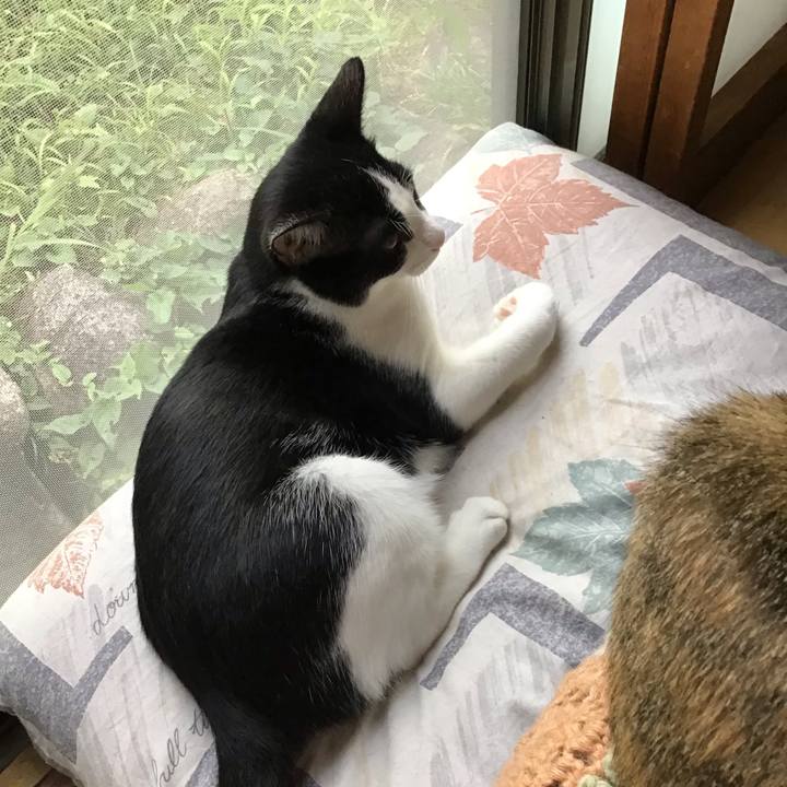 28bc02f4 d7bf 4867 b335 37f4107fa231 1631787941459