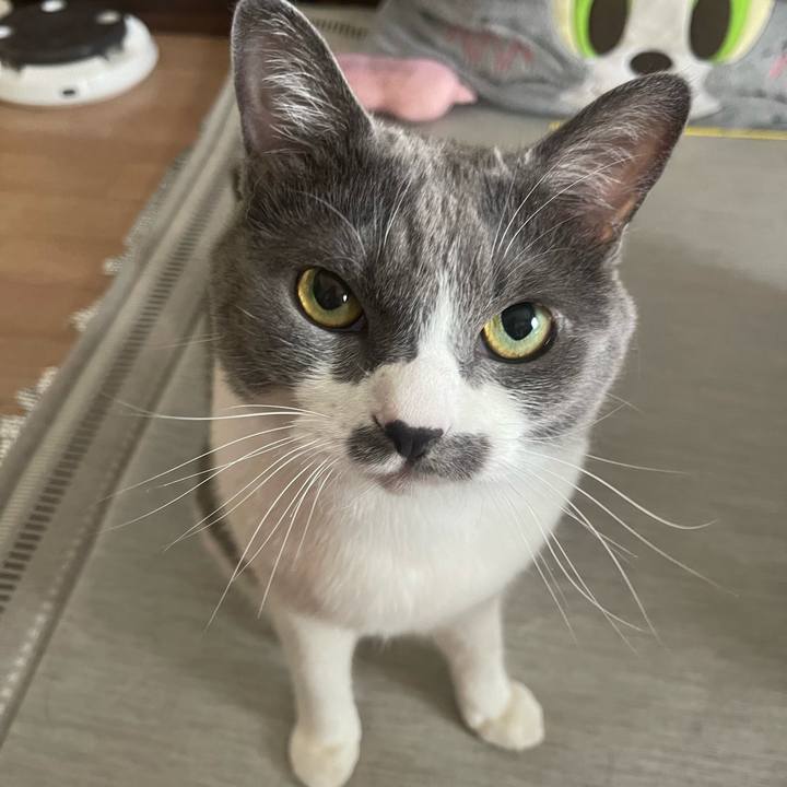 28bc494e b158 4f06 8330 5a6fed0a9487 1757815143752