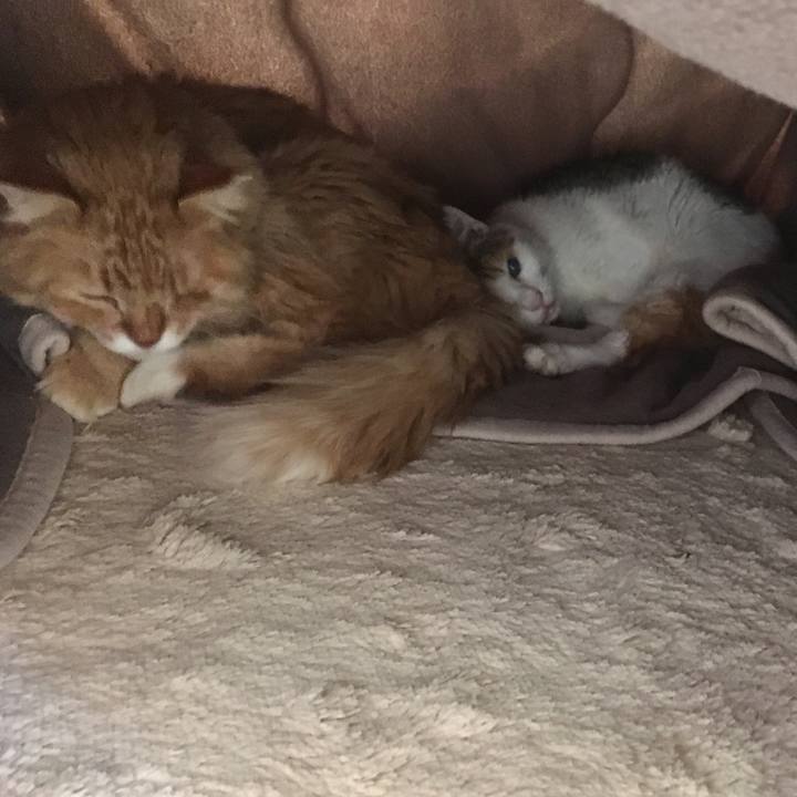 28bc7e58 5dee 407e 8af2 d4784b614fc1 1514367861115