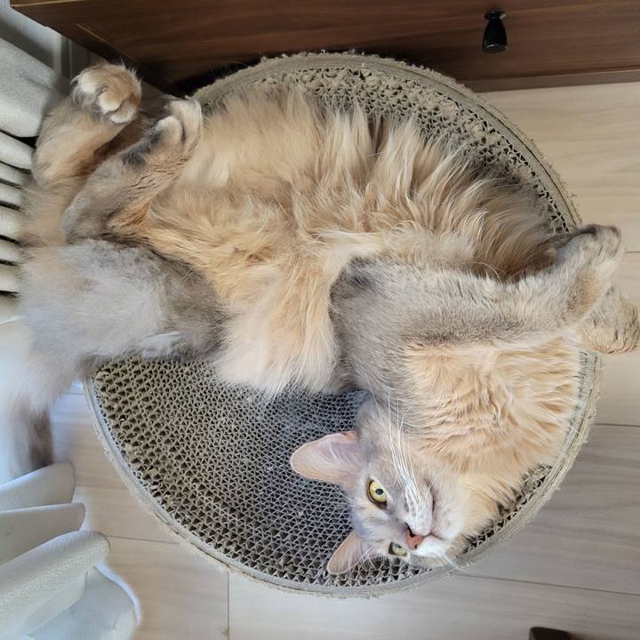 28bc94fe f020 474e 8f77 b64efa126b58 1632822460660