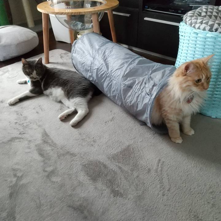 28bc9edf e1ba 4ffa 8cac d7a02037b6de 1651978372085