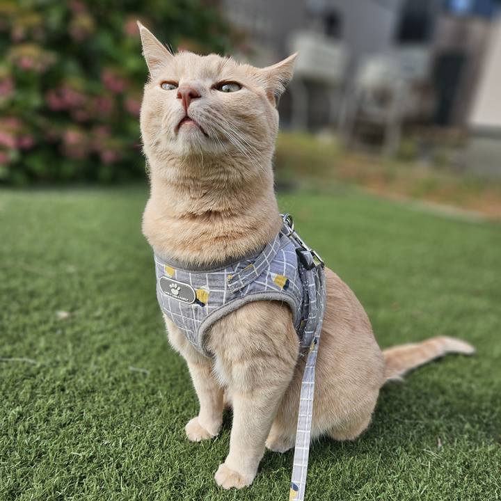 28bcf4a3 bef8 43cf b7e8 58e323c5050b 1728463708535