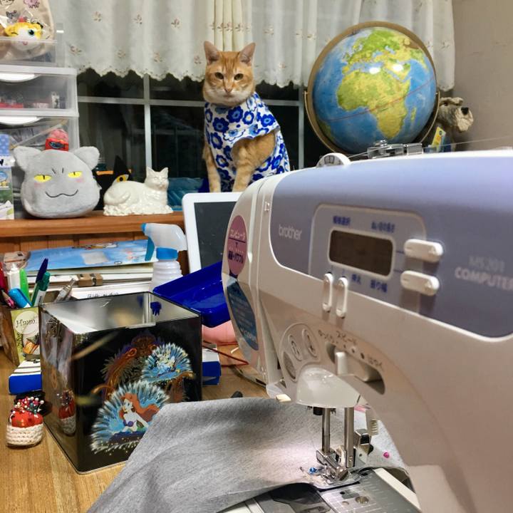 28bcfd17 4a63 4659 b343 10580794dacb 1522507277238