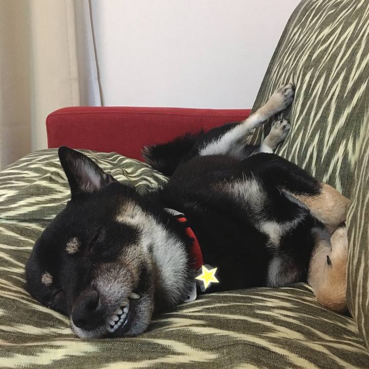 28bcfde9 e543 4fe1 8c59 6af39dd25308 1537447672520