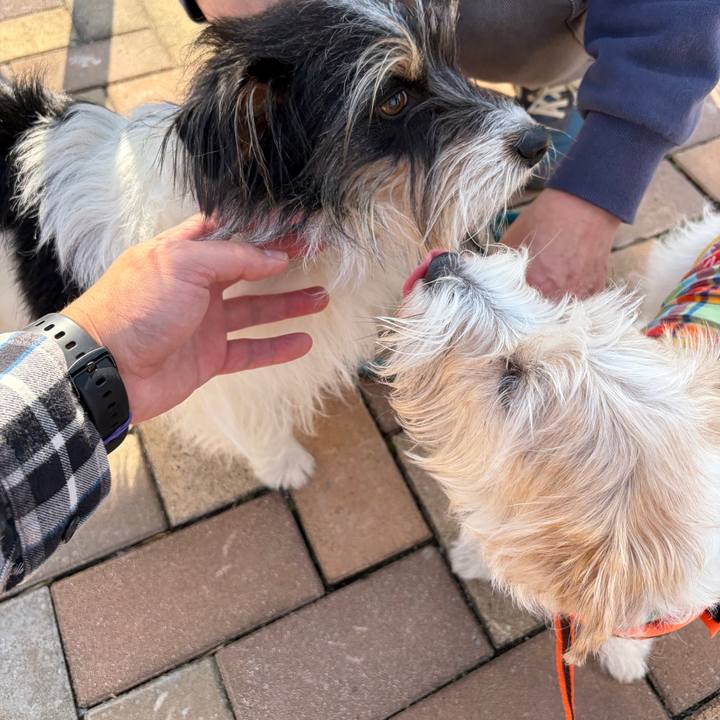 28bd1ad3 70e5 45cd ac7a 08d419a76417 1772269052190