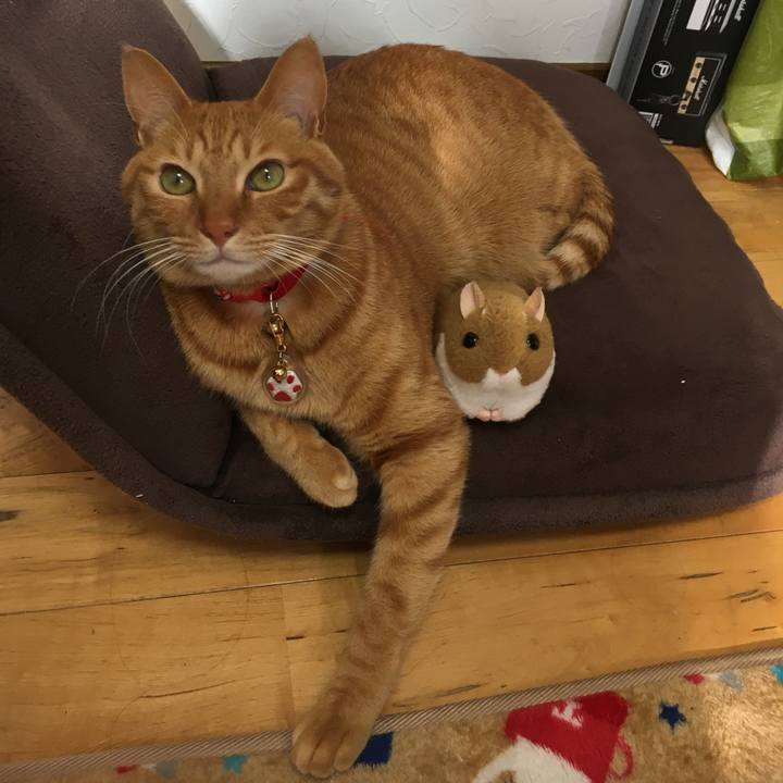 28bd2a85 6a6c 492f 9e75 a4aa99dfbbb2 1546310905622